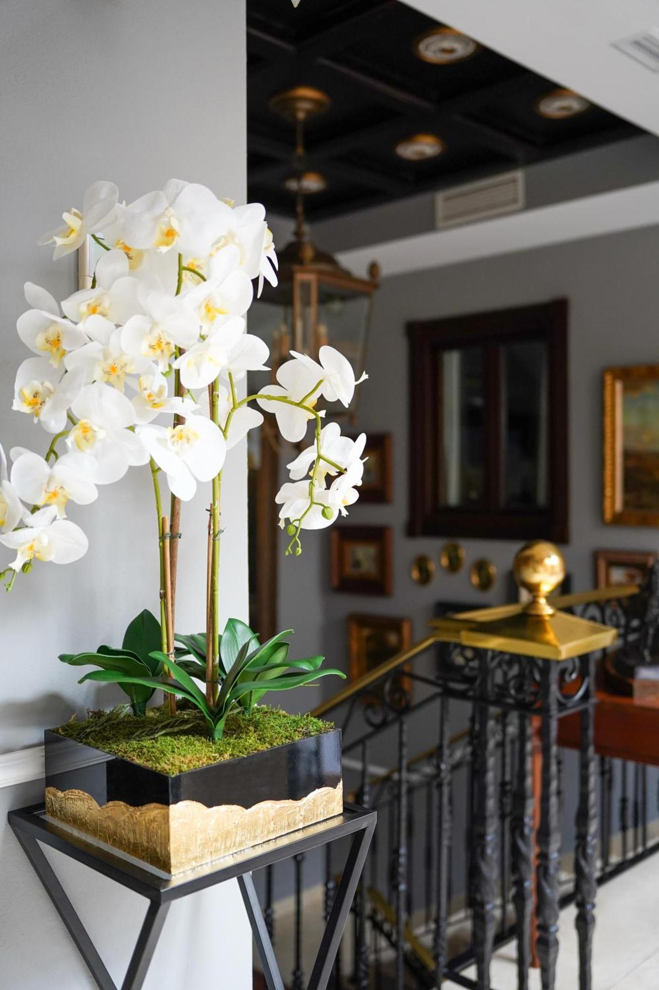 Hotel Boutique Casa Veracruz Estepona Eksteriør bilde