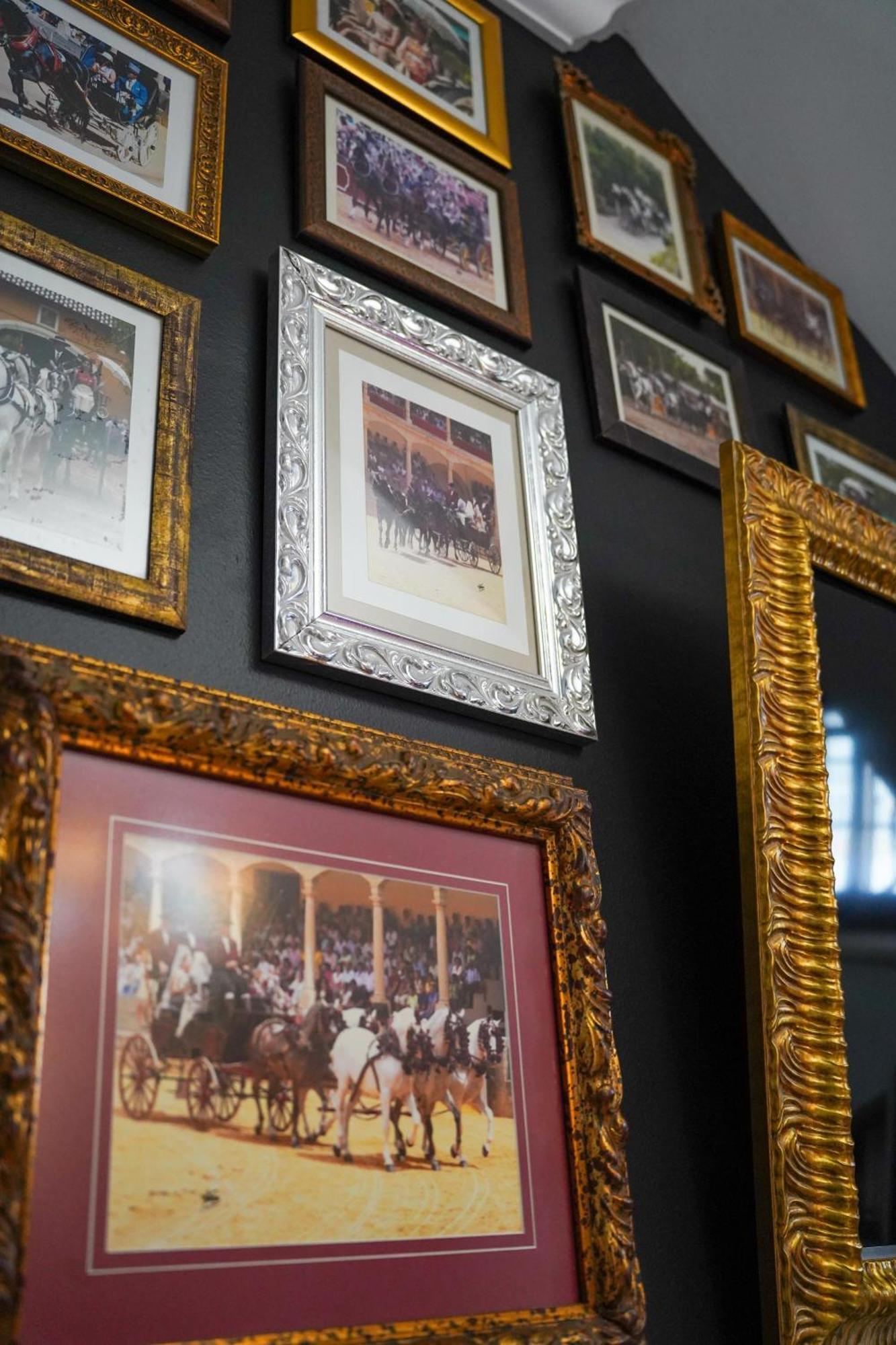 Hotel Boutique Casa Veracruz Estepona Rom bilde